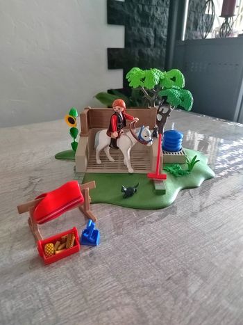 Station de lavage chevaux playmobil en très bon état