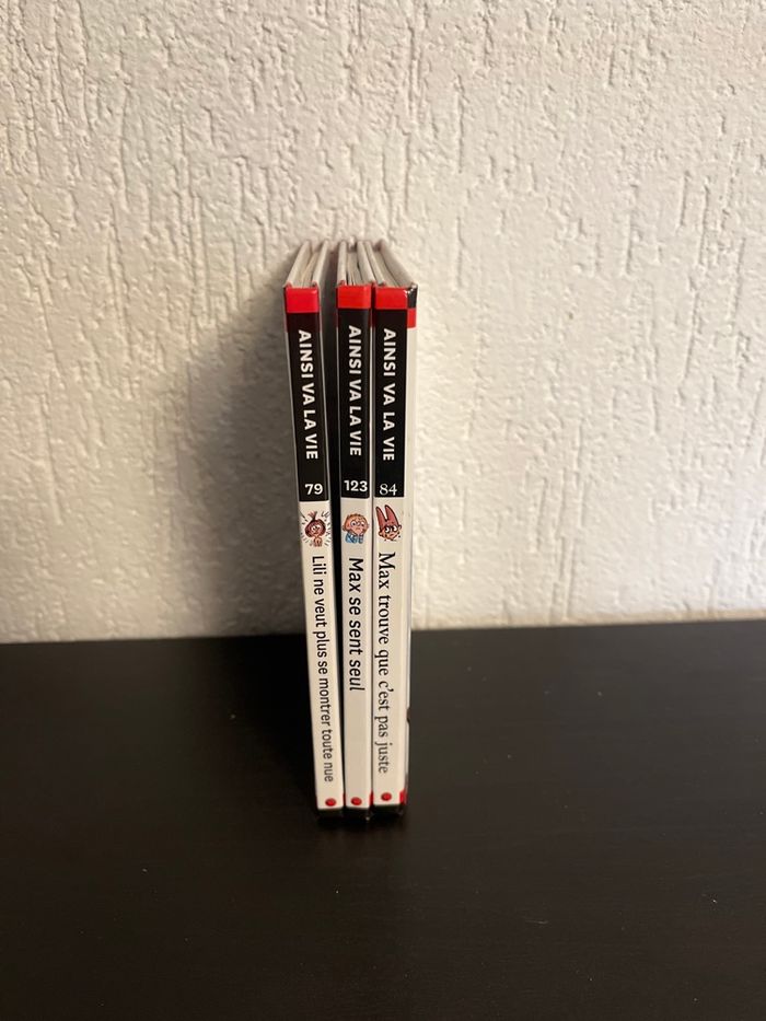 Lot 3 livres Lili et Max (solitude, pudeur, injustice) - photo numéro 7