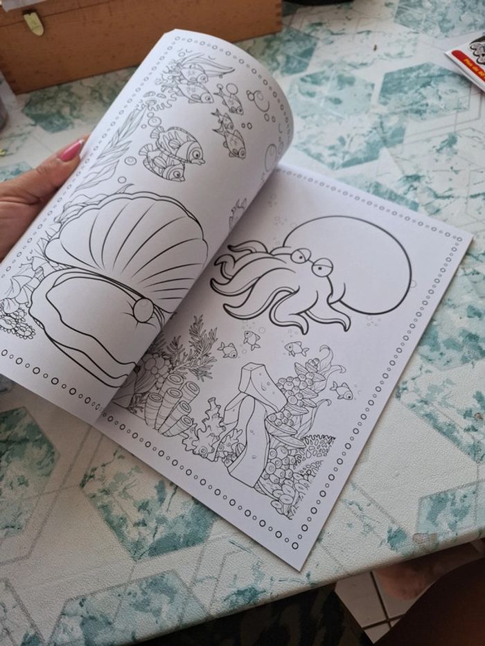 Livre coloriage - photo numéro 3