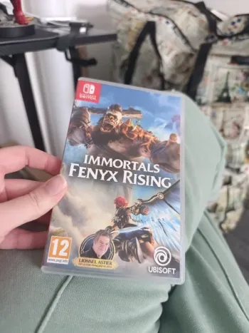 Jeu switch immortal rising