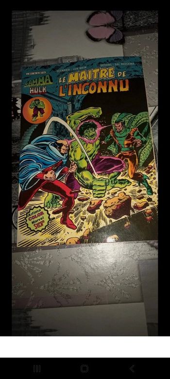 Bd le maitre de l'inconnu.