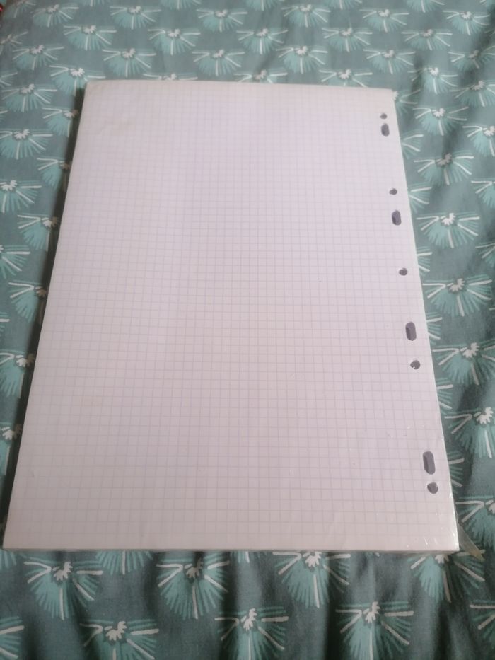 Feuille simple pour classeur - photo numéro 2