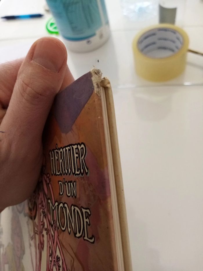 Tiriel héritier d'un monde - photo numéro 4