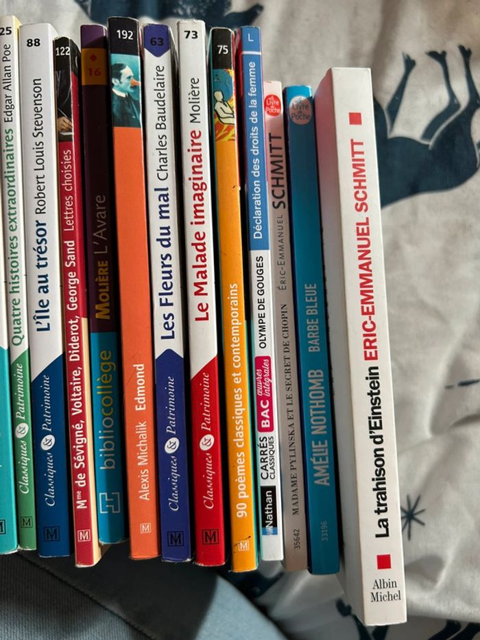 Lots de livre - photo numéro 4