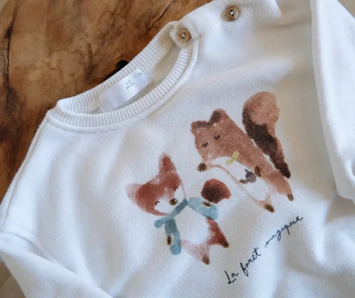 Sweat - Zara - photo numéro 2