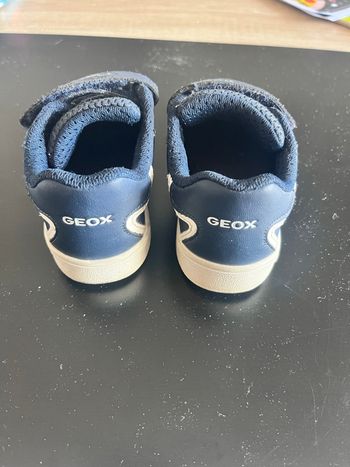 Baskets Geox 