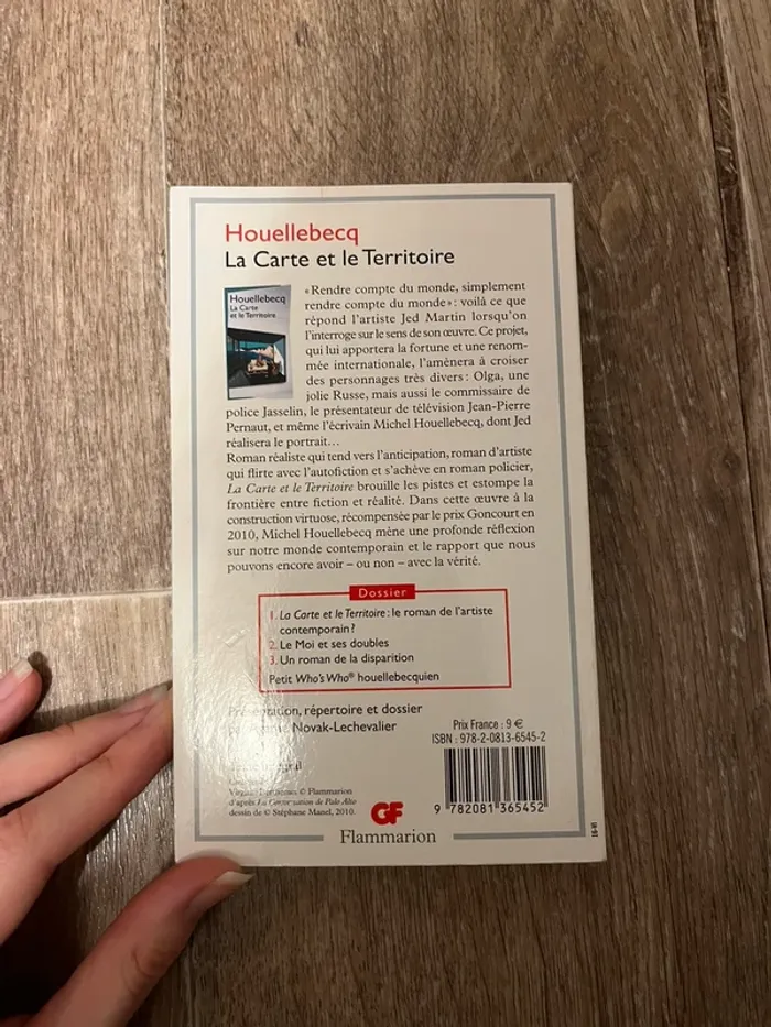 La Carte et le Territoire - photo numéro 2