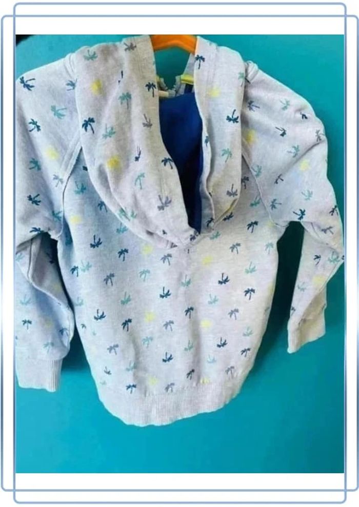 Très beau sweat léger à capuche 4/5 ans esprit - photo numéro 2