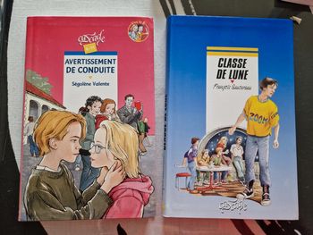 Lot 2 livres cascade