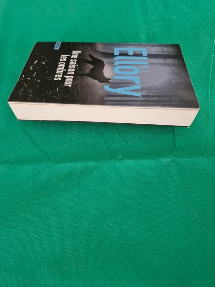 Une saison pour les ombres R.J. Ellory - photo numéro 3