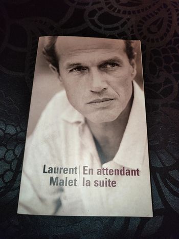 Livre En attendant la suite