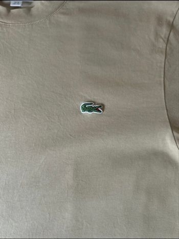 T shirt Lacoste homme