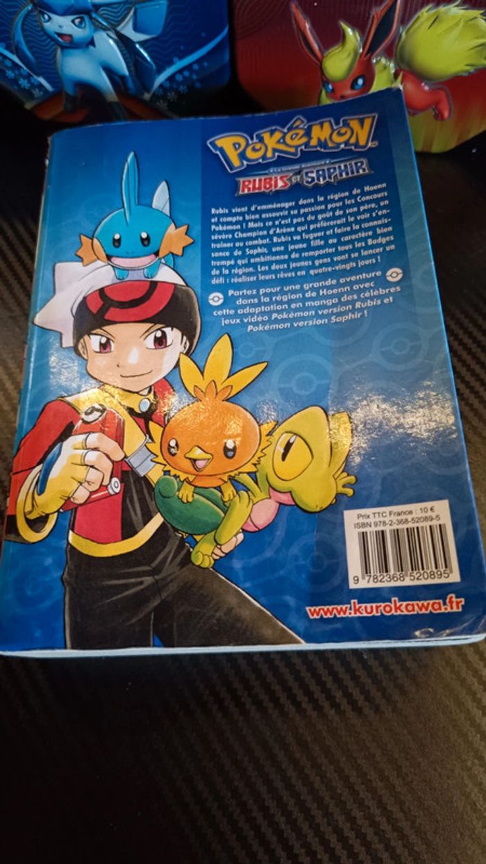 Manga pokémon rubis et saphir - photo numéro 3