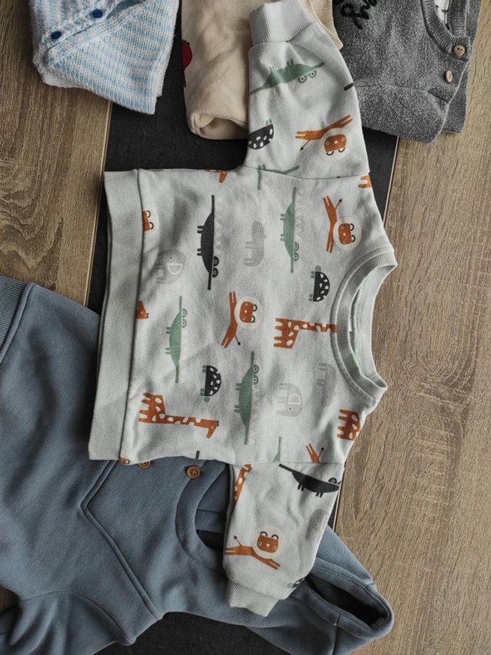 Lot pull - photo numéro 6