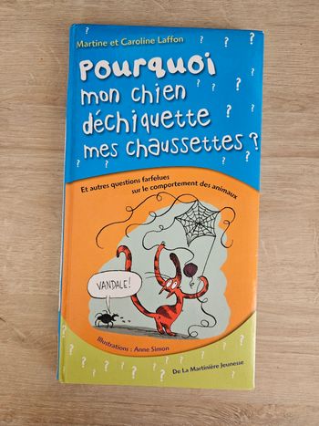 Pourquoi mon chien déchiquette mes chaussettes ?