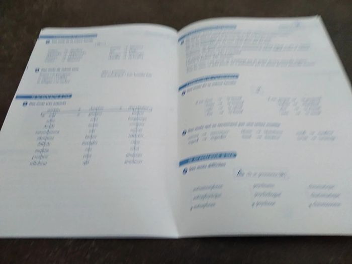 Lot de 2 livres Ribambelle CE1 - photo numéro 14