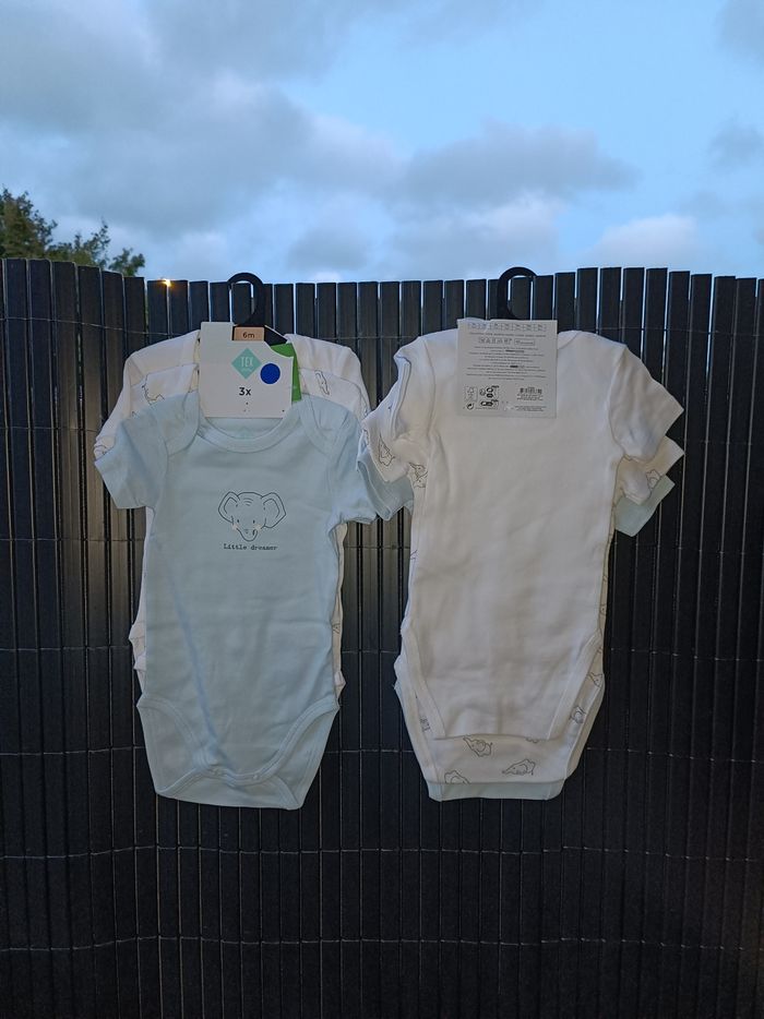 Lot de 6 bodies Tex baby taille 6 mois