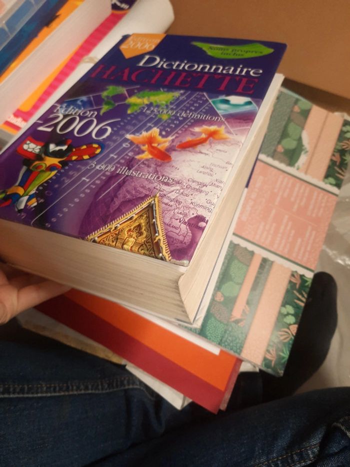 Dictionnaire adulte - photo numéro 4