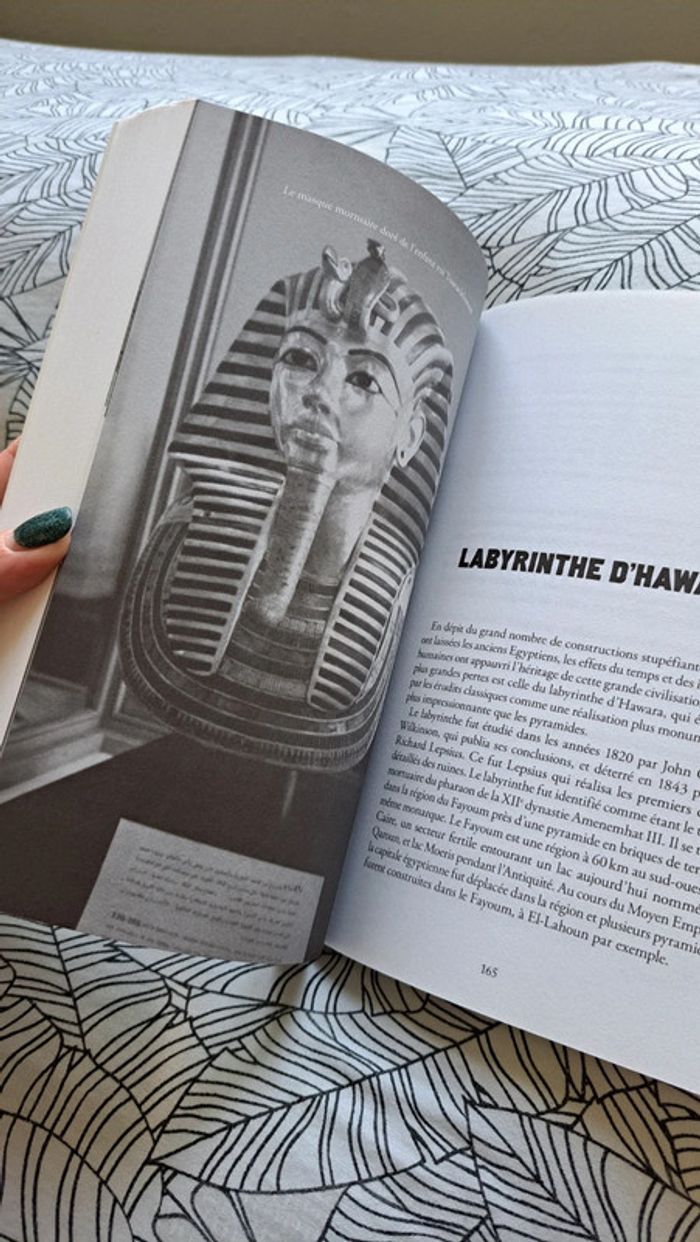 Les secrets de l'Égypte ancienne - photo numéro 4