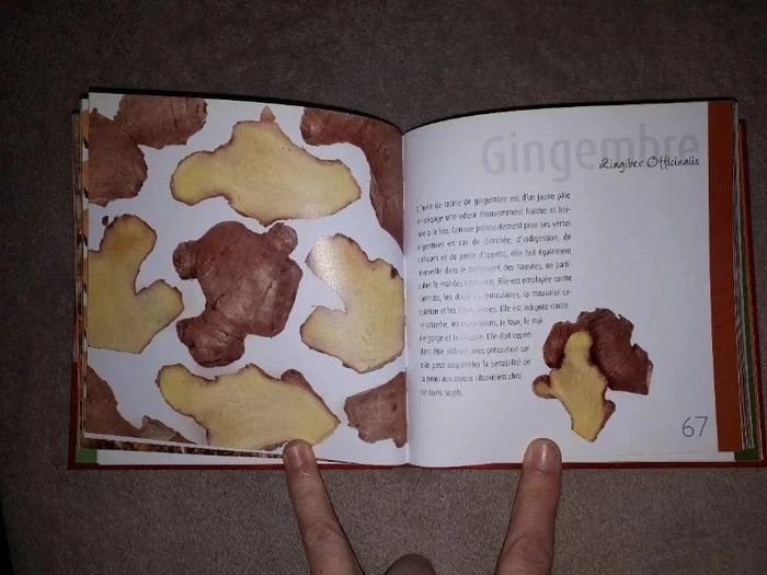 Livre Les huiles essentielles - photo numéro 7