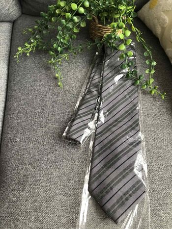 Cravate Gris et Noir Daniel hechter