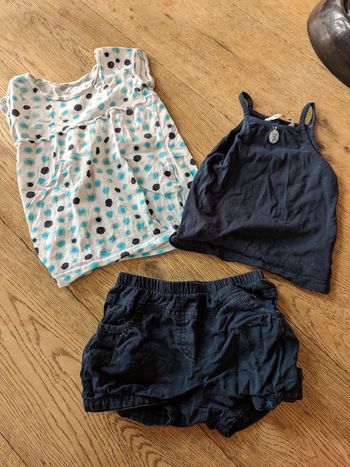 Ensemble 3 pommes tons bleus