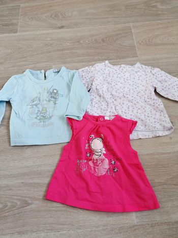 3 tee shirts fantaisie