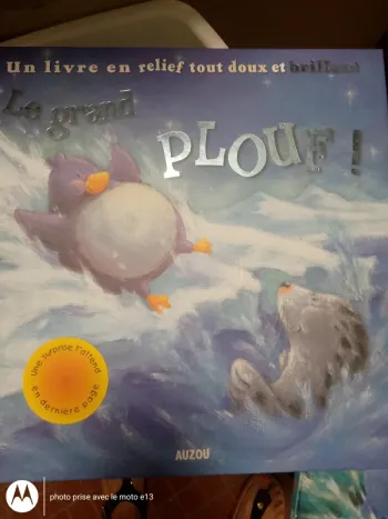 Le grand plouf