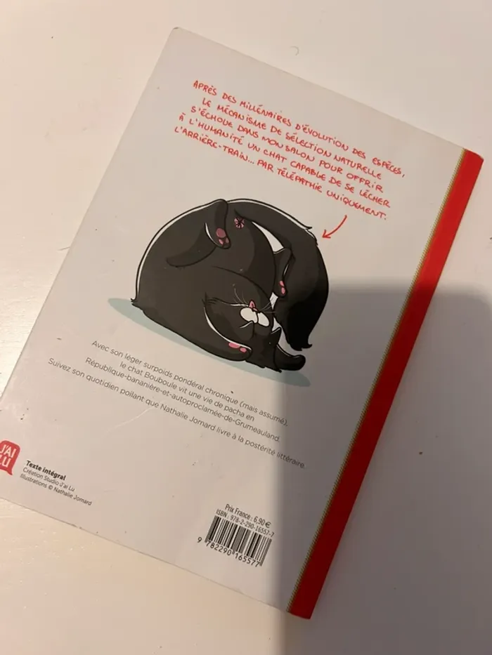 Livre Chat Bouboule - photo numéro 2