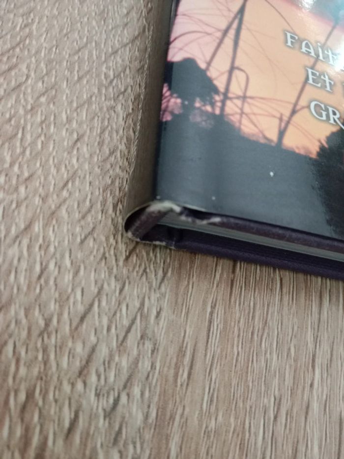 Lucy Summers 🪅 Le livre de la Wicca - photo numéro 6