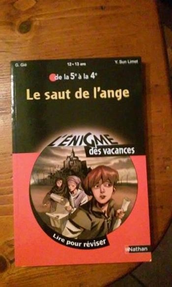 Livre le saut de l'ange