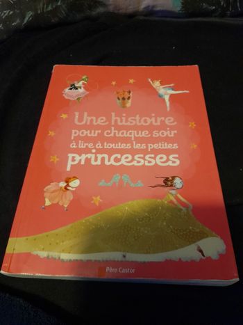 Une histoire chaque soir pour une princesse 