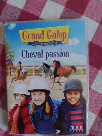 Grand galop cheval passion
