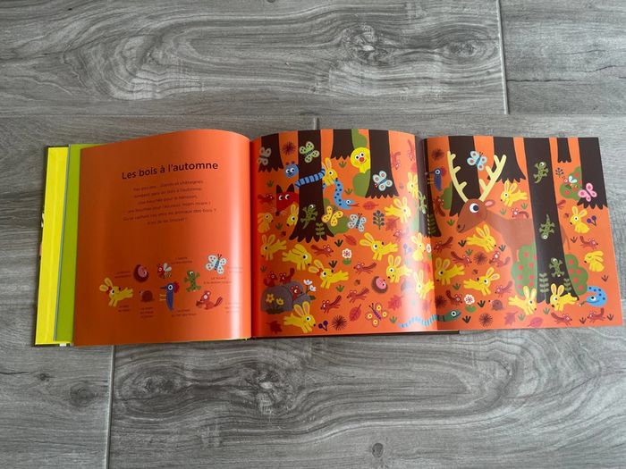 Livre cherche et trouve - photo numéro 2