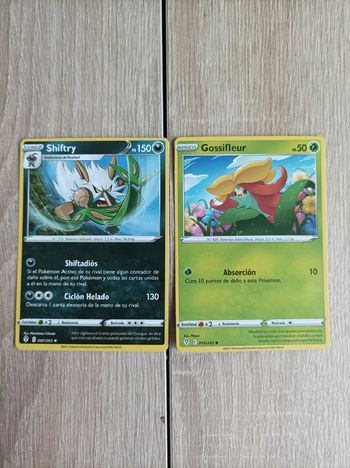 Lot  cartes Pokémon