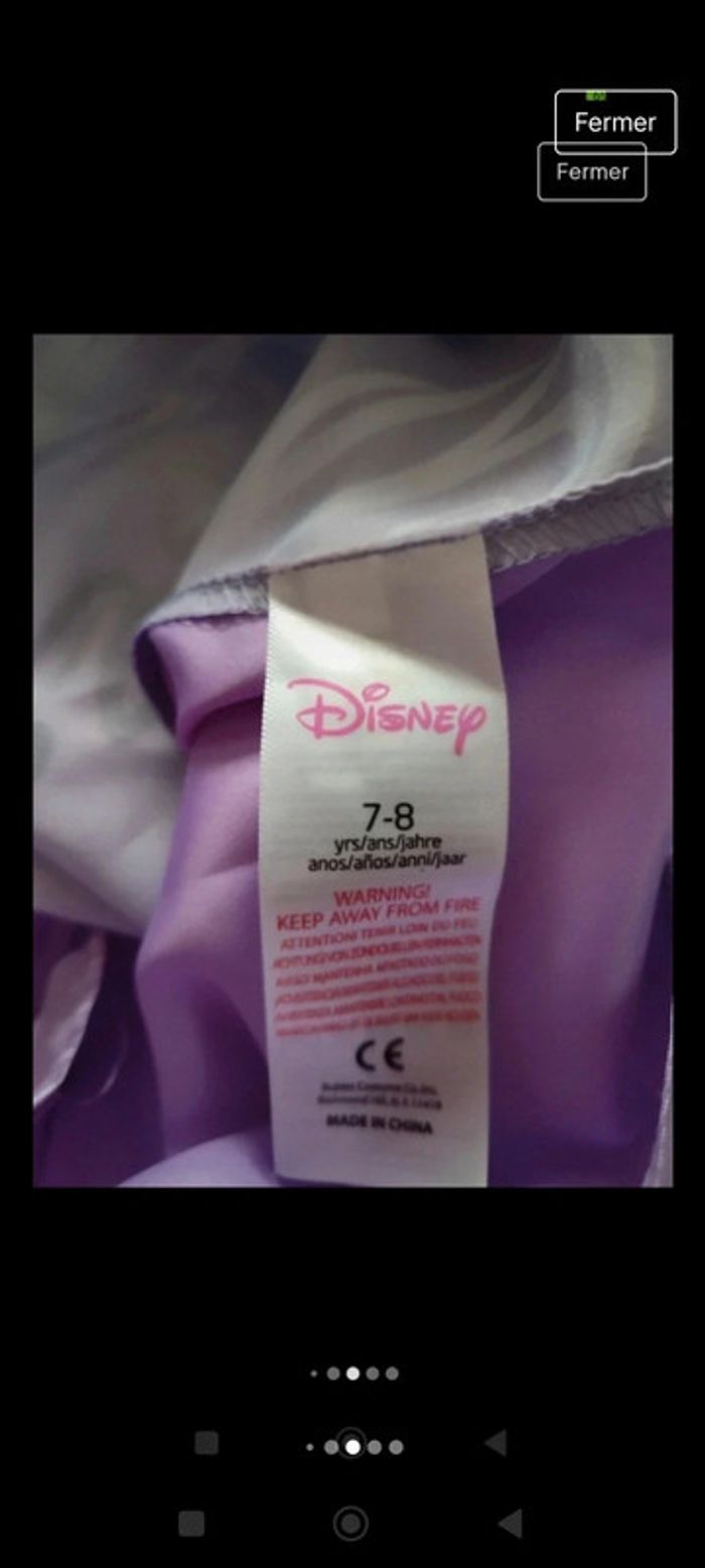 Déguisement Raiponce Eurodisney - photo numéro 4