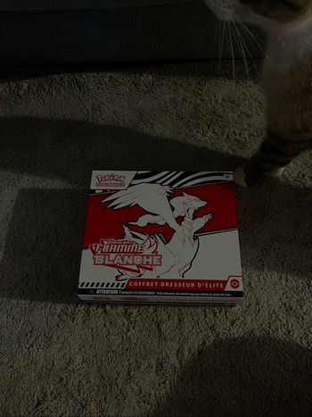 etb flamme blanche