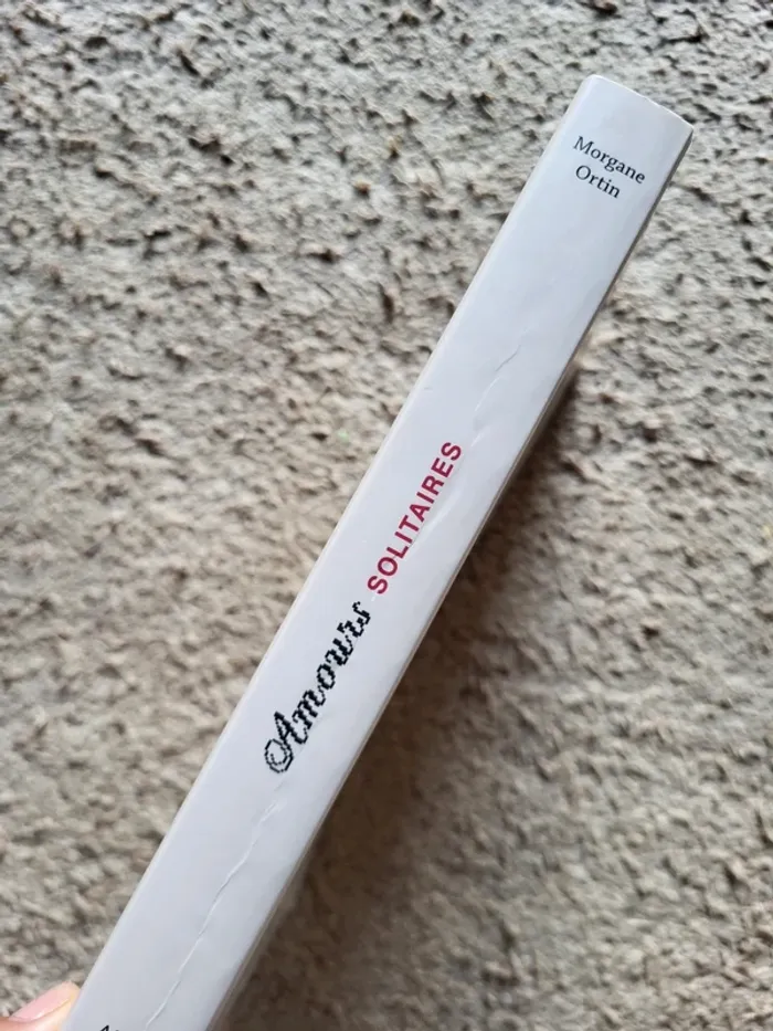 Livre "Amours solitaires" de Morgane Ortin - Roman épistolaire moderne - photo numéro 4