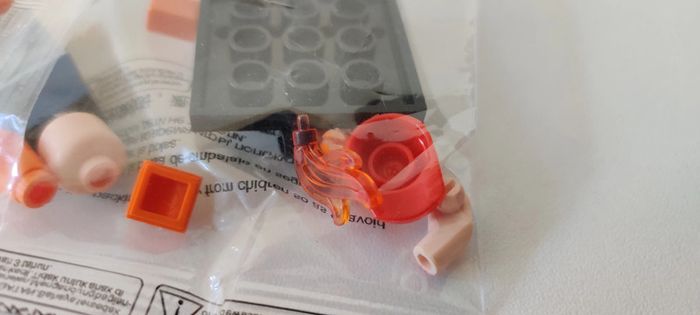 Figurine de Sacha avec Salamèche compatibles LEGO - Scellé 🌟 - Envoi rapide 🚚💨 - photo numéro 5