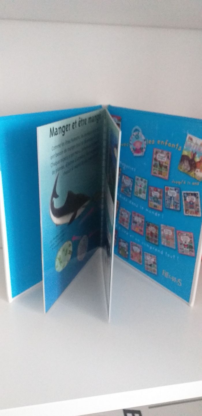 Livre enfant fleurus la mer - photo numéro 4