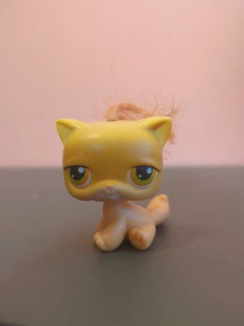 Littlest Petshop Lps Chat