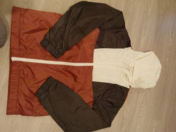 Veste