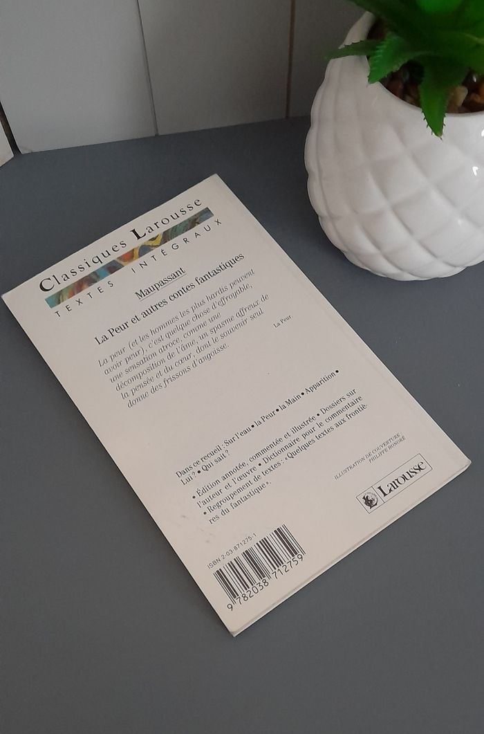 La Peur - Maupassant - photo numéro 2