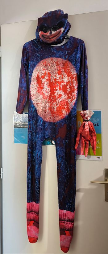 Déguisement enfant Sonic Exé. Taille 10 ans.