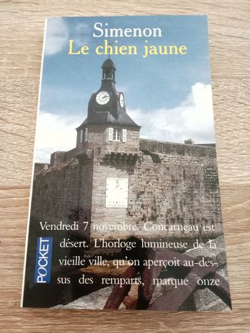 Simenon 🪅 Le chien jaune