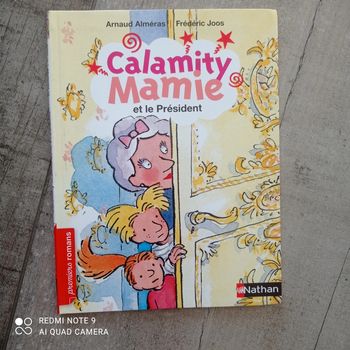Livre Calamity mamie et le président