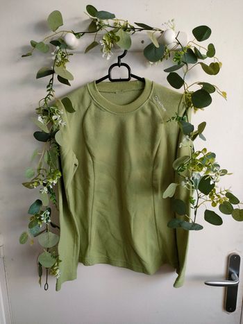 Pull polaire