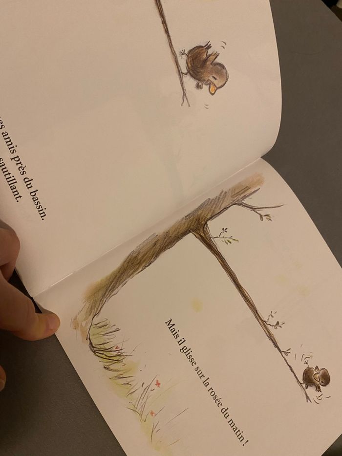 Tombé - photo numéro 2