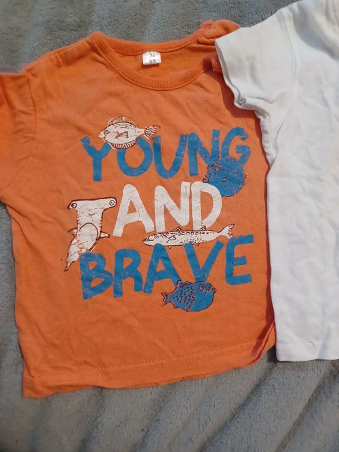 Lot 2 Tee-shirt 9 mois - photo numéro 3