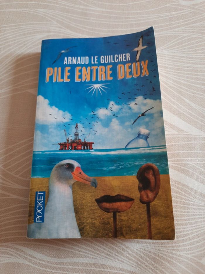 Pile entre deux - Arnaud Le Guilcher